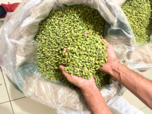 4f6f097e 4bc2 4ecc aa41 bd103c436f5e