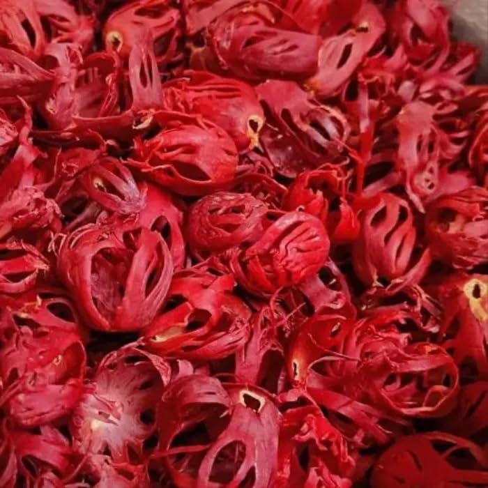 Products 618ykliw4tl