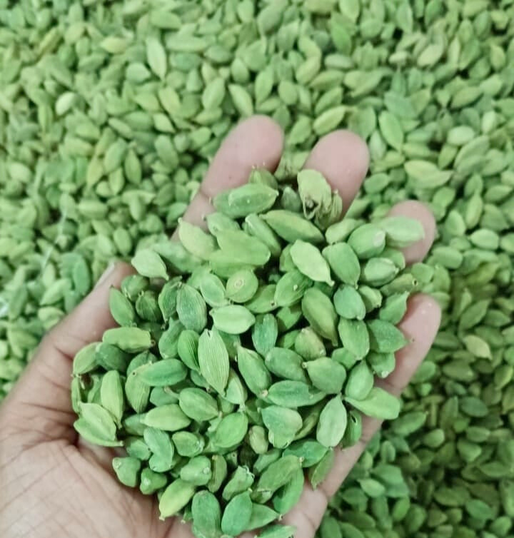 Products 846a1fa3 9502 48fc a9f4 609b2dd516d9