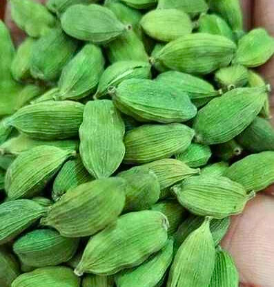 Products 8dd0ca3c 5fb6 48d7 b9d2 5080940a2720