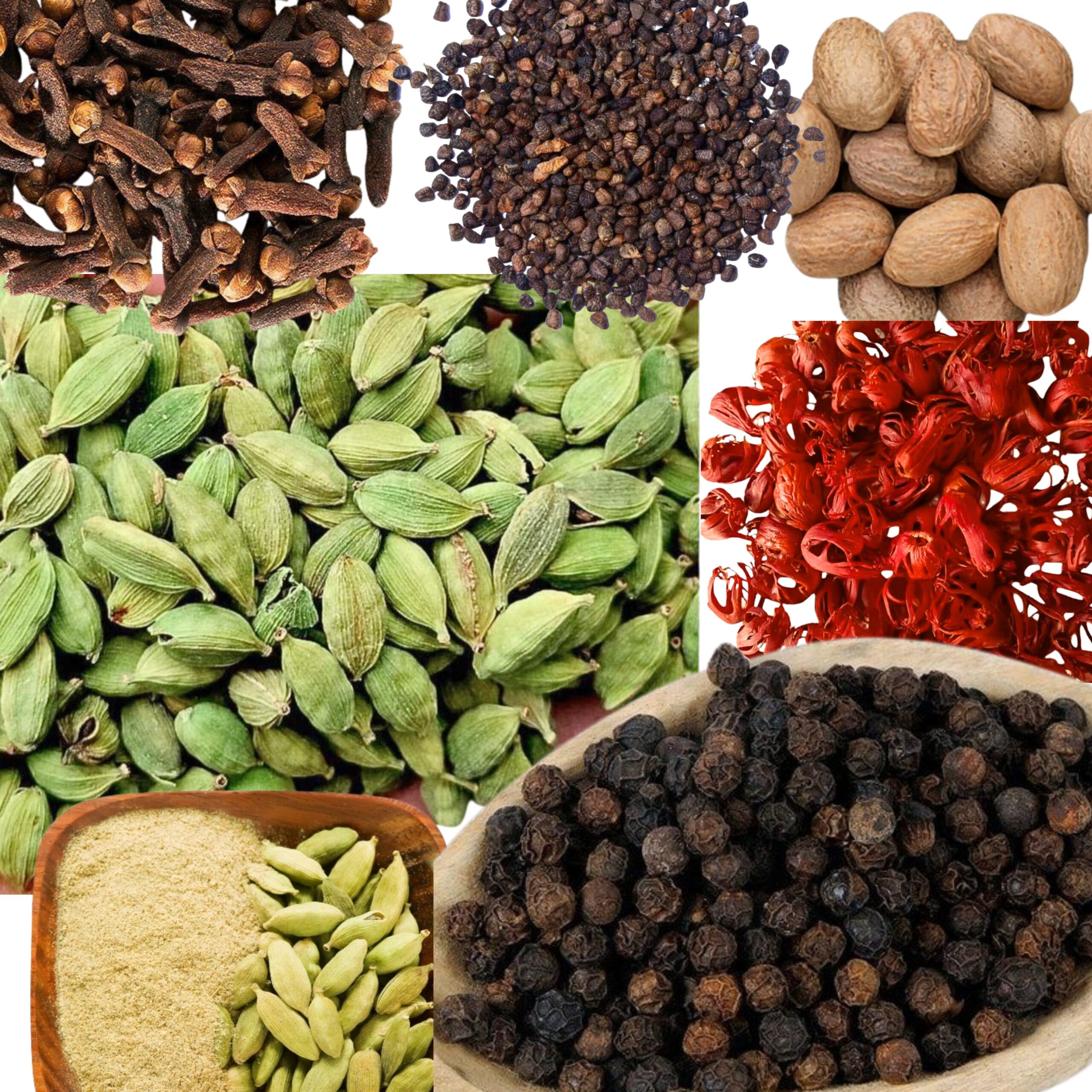 Home untitled design (27)