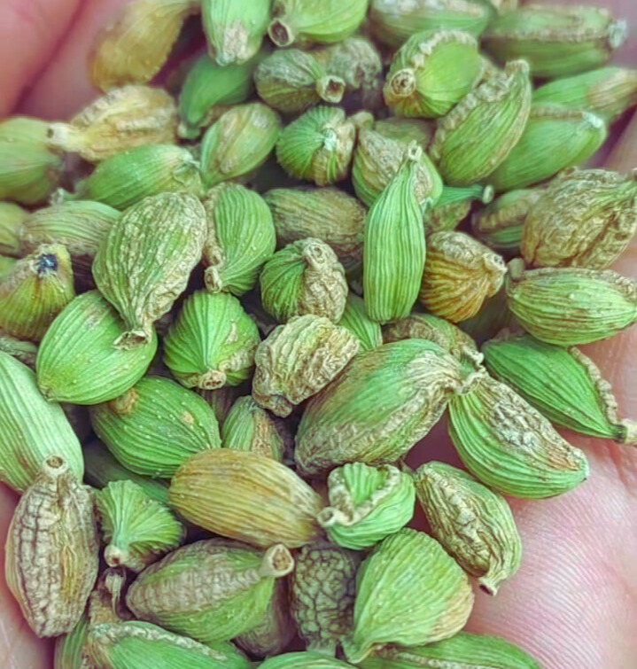 Products c70f2698 1a0e 4535 86d4 e83eba27ae57